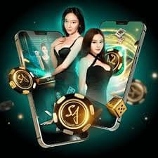 maxim88 European Roulette Studio